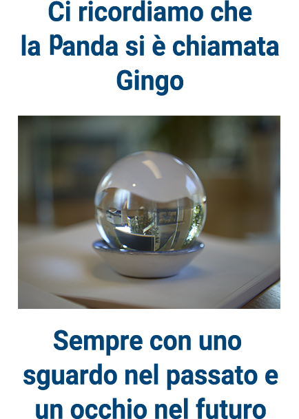 Automercato Santuliana - Altro e ancora