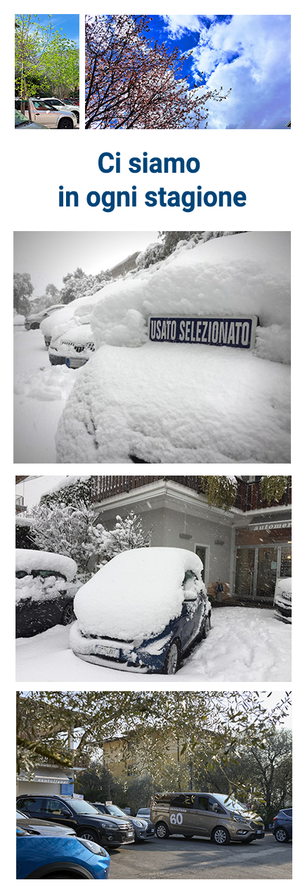 Automercato Santuliana - Altro e ancora