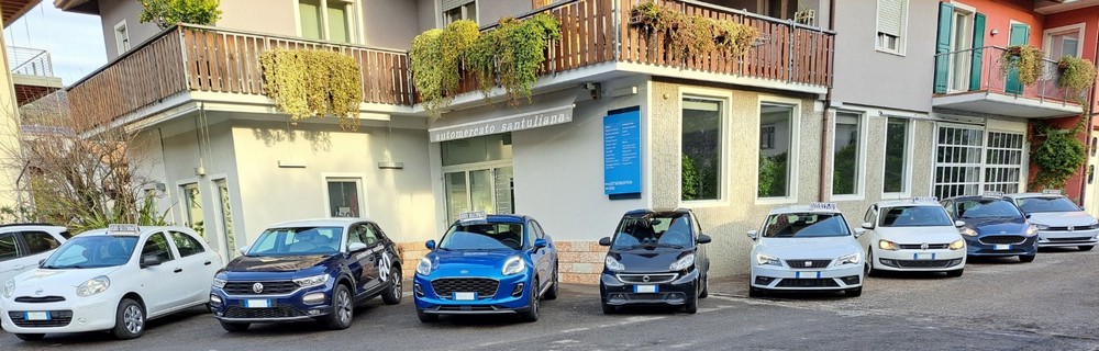 Automercato Santuliana - Cosa facciamo