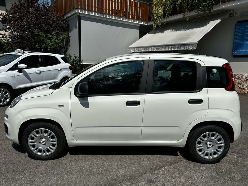 FIAT PANDA  1.0 FIREFLY S&S HYBRID 