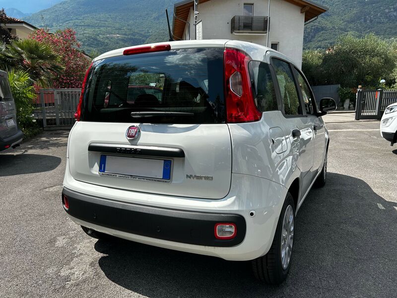 FIAT PANDA  1.0 FIREFLY S&S HYBRID 