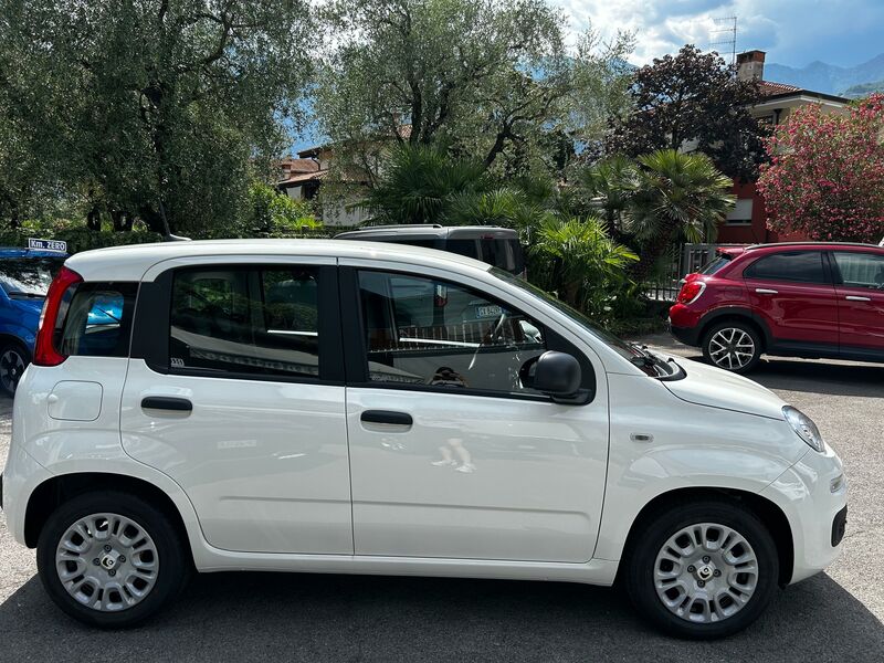 FIAT PANDA  1.0 FIREFLY S&S HYBRID 